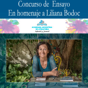 concurso-bodoc-ensayo